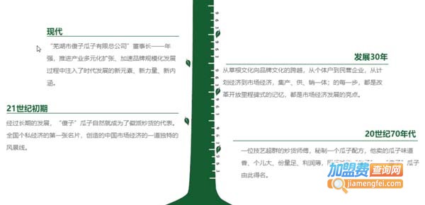 加盟傻子瓜子要多少钱