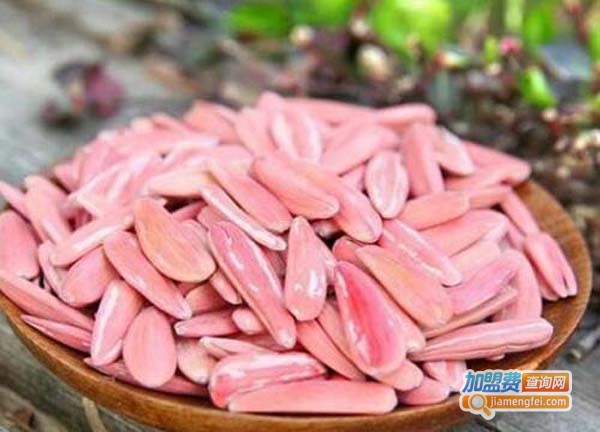 加盟傻子瓜子要多少钱