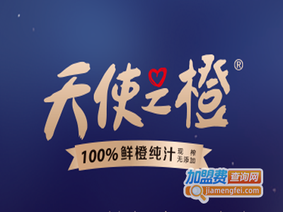 天使之橙加盟