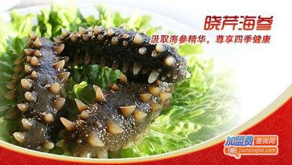 晓芹海参加盟