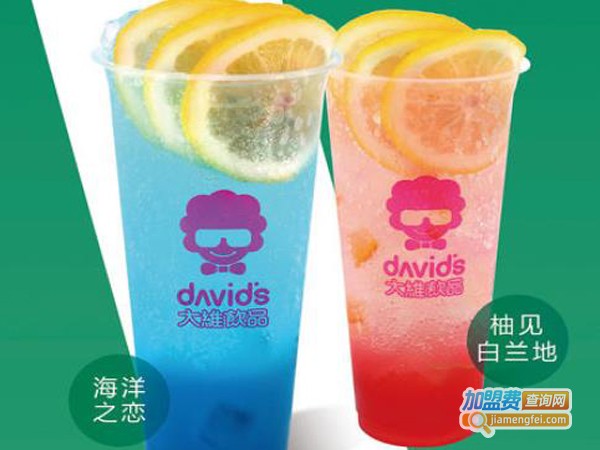 大维饮品加盟费多少钱