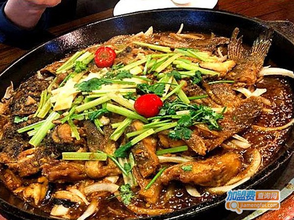 老板恋上鱼加盟