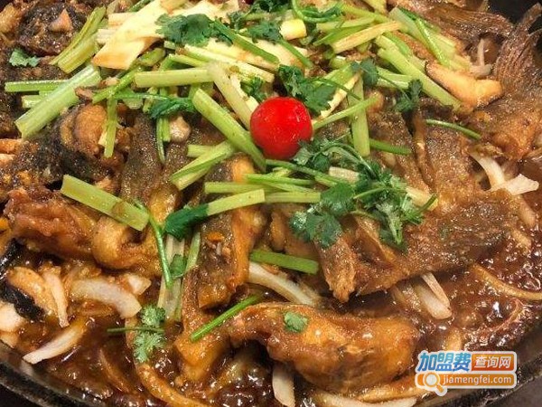 老板恋上鱼加盟