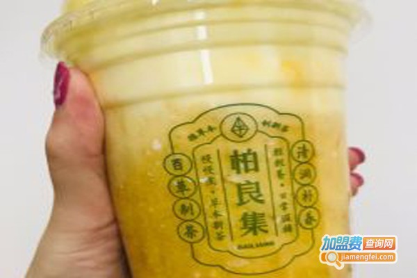 柏良集加盟费
