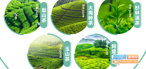 茶小官加盟费