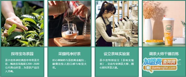 茶小官加盟费