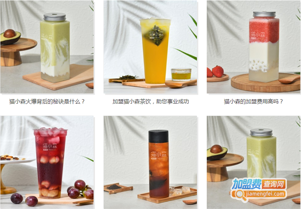 猫小森茶饮加盟费