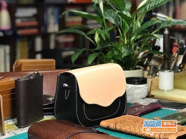 护理皮具店加盟