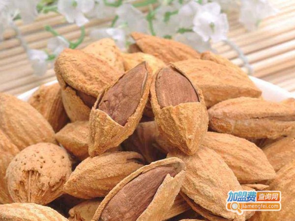 大漠珍果加盟费