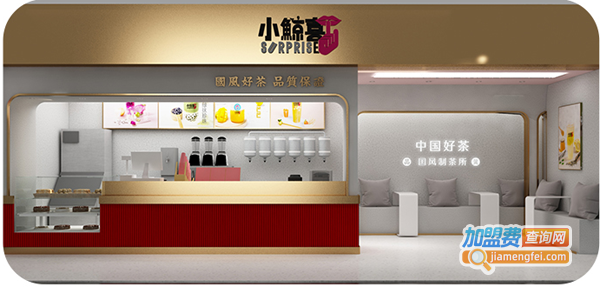 小鲸喜加盟费
