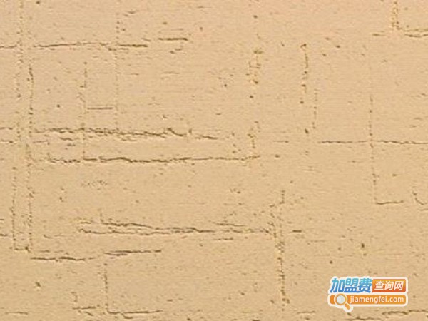特工组涂料漆加盟费