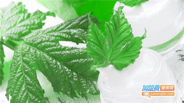 仙人掌面膜加盟费