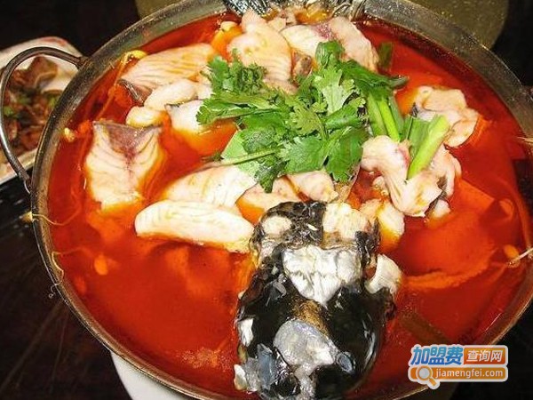 自助鱼锅加盟费