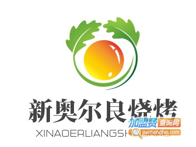 新奥尔良烧烤加盟费