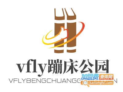 vfly蹦床公园加盟费