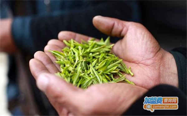 品牌茶叶加盟