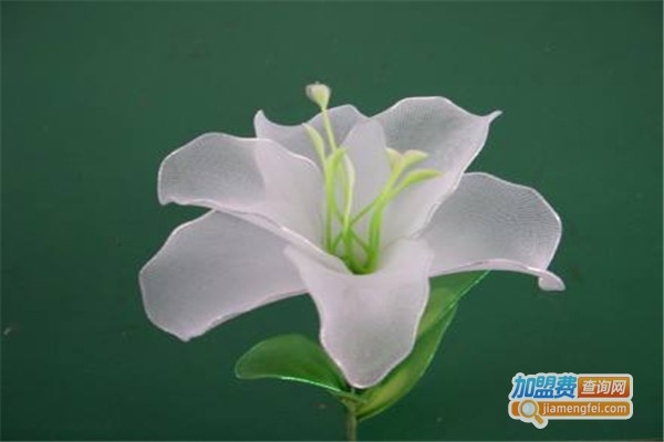 丝网花加盟