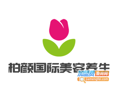 柏颜国际美容养生加盟