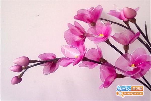 丝网花加盟
