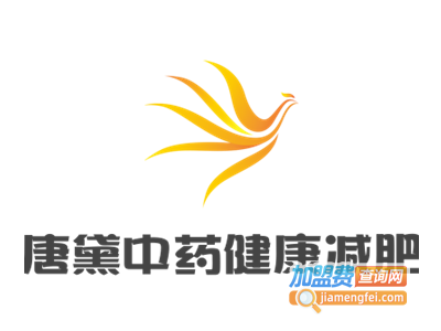 唐黛中药健康减肥加盟费