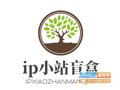 ip小站盲盒加盟费