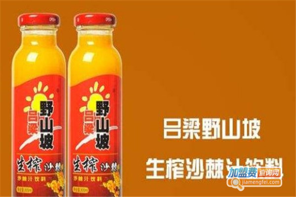吕梁野山坡沙棘汁加盟费