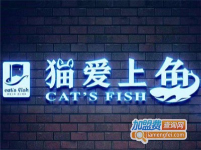 猫爱上鱼纸包鱼加盟费