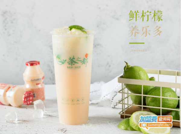 茶之都加盟费多少钱