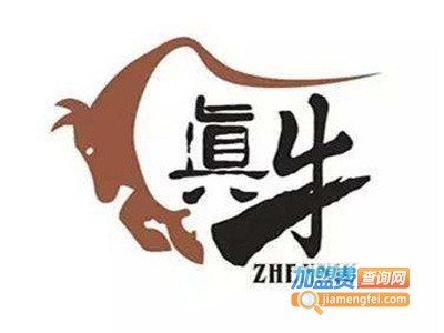真牛铁板饭加盟电话