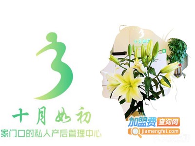 十月如初产后修复加盟费