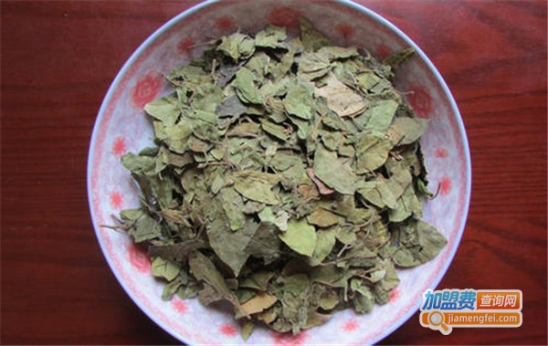 金奈玛加盟费