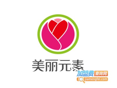 美丽元素加盟电话