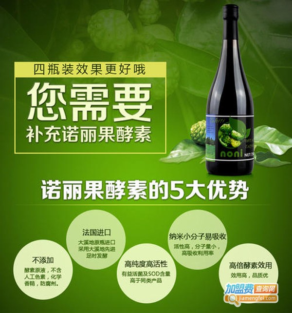 大溪地诺丽饮料加盟费