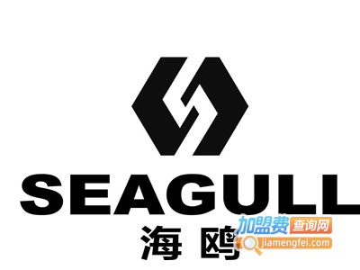 seagull相机加盟费