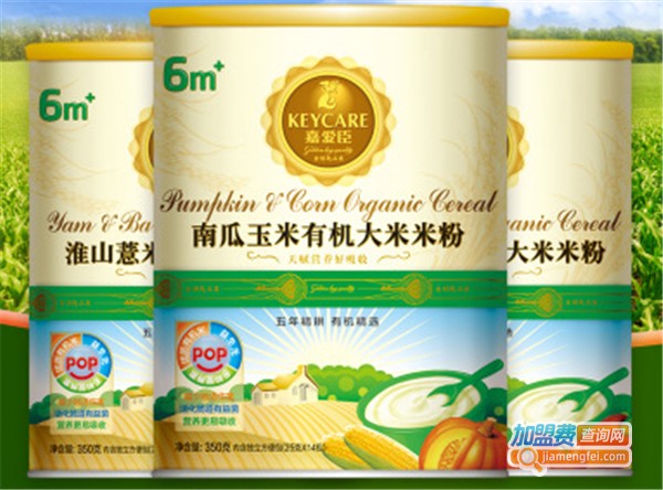 嘉爱臣加盟费