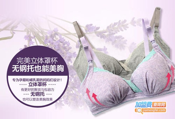 玫瑰太太加盟费