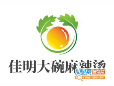 佳明大碗麻辣烫加盟电话