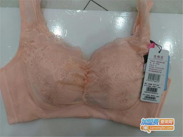 春娜文胸加盟费