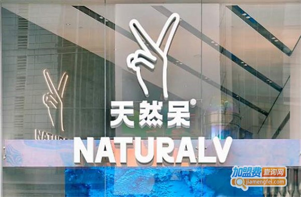 天然呆奶茶加盟