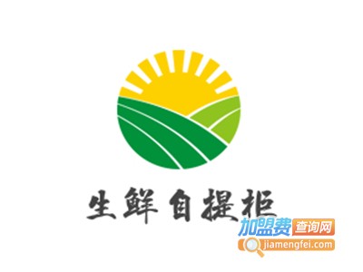 生鲜自提柜加盟