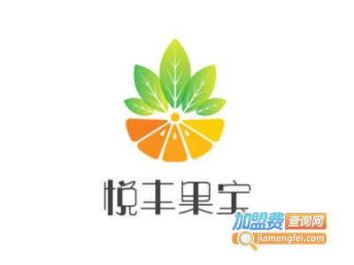 悦丰果宝加盟