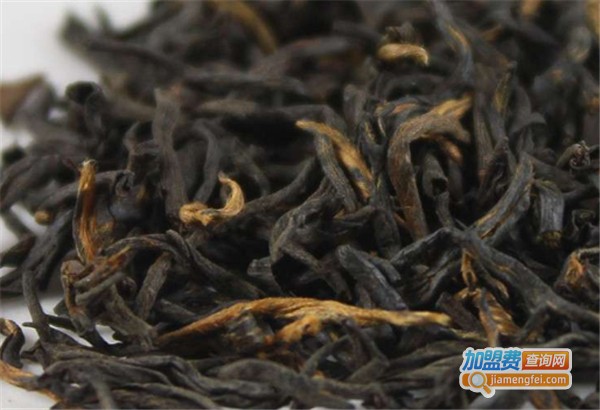 政和工夫红茶加盟费
