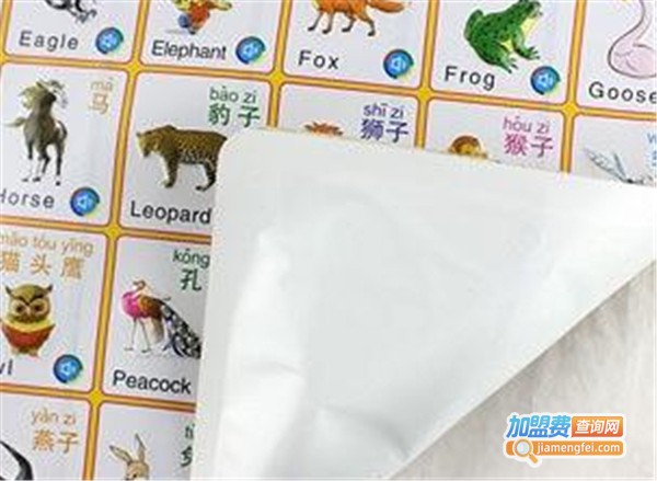 灵童识字加盟费