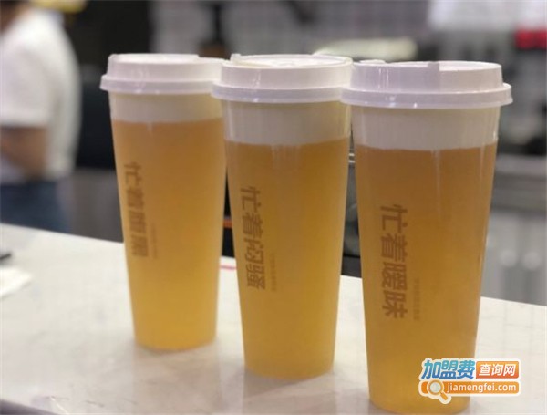 杯中注定加盟费