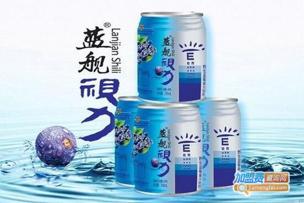 蓝海舰队饮料加盟费