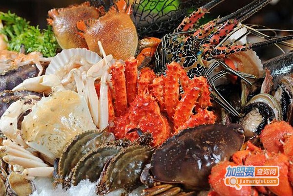 Foodmap自助餐加盟费
