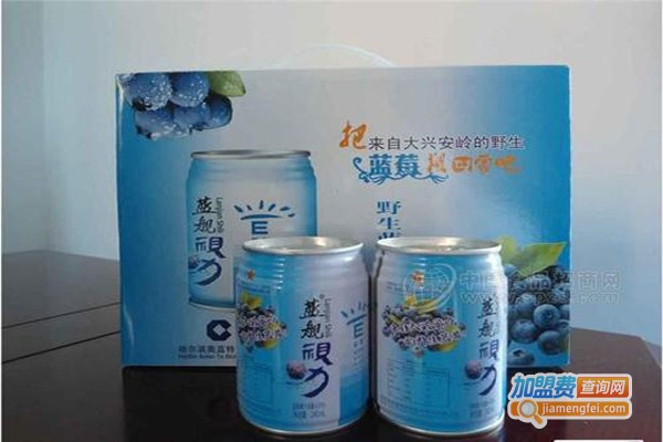 蓝海舰队饮料加盟费