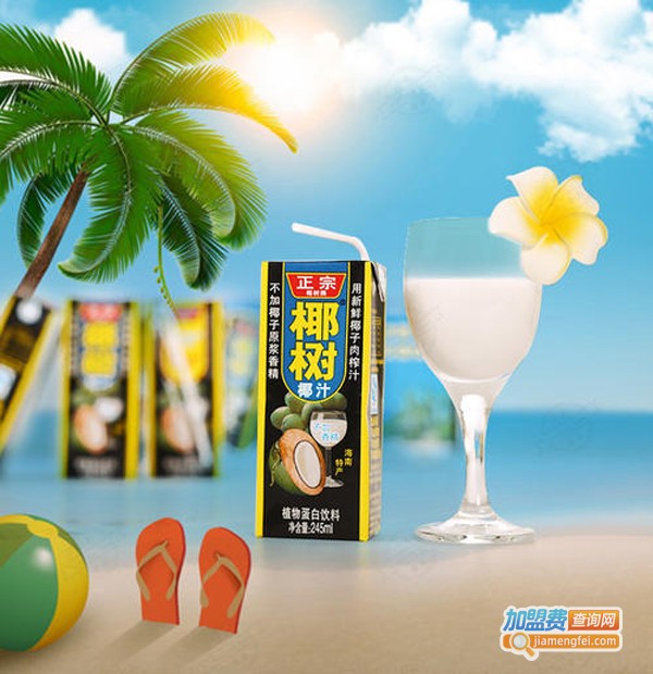 椰潮饮料加盟费