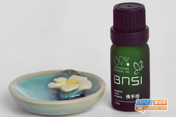 宾奴仕加盟费