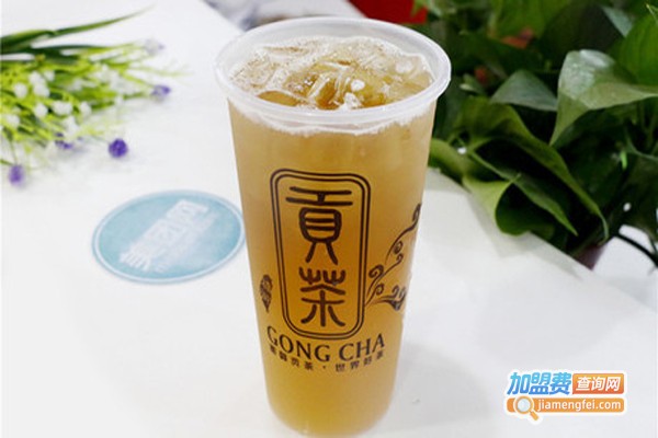 渺渺贡茶加盟费
